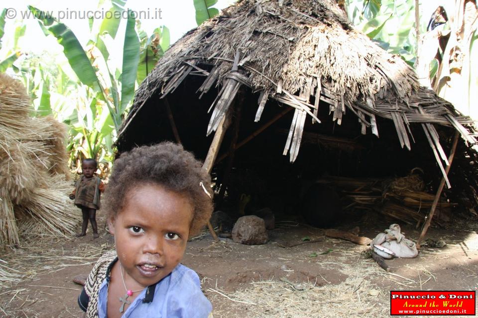Ethiopia - Wolayta e la falsa banana - 7.jpg
